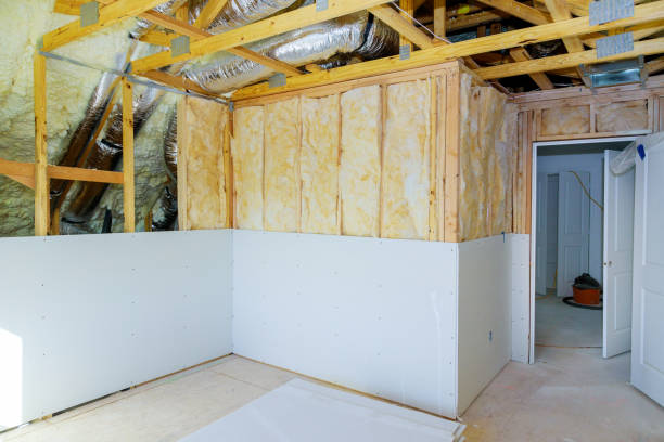 Best Insulation Removal  in Wildomar, CA