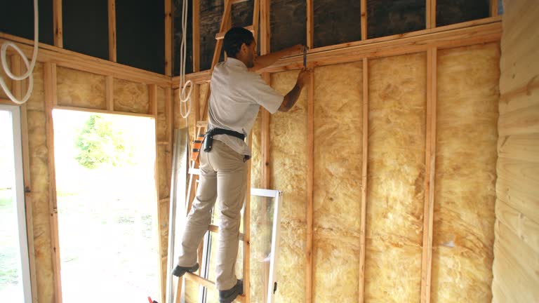 Best Radiant Barrier Insulation  in Wildomar, CA