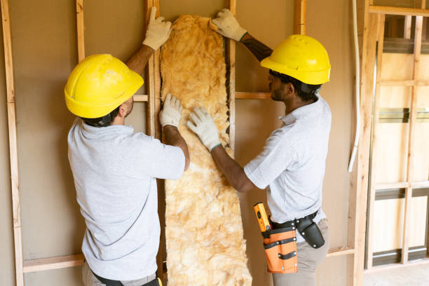 Professional Insulation in Wildomar, CA