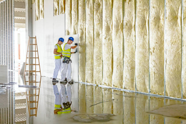 Best Basement Insulation  in Wildomar, CA